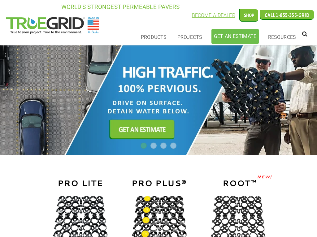 TrueGrid 1